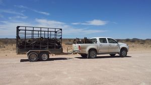 Quel Poids Peut-on Tracter Avec Un Véhicule B